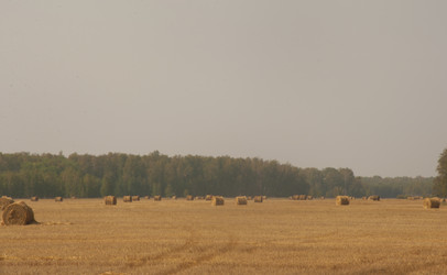 Similar image 21190722