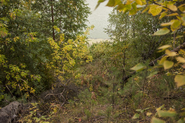 Similar image 21190723