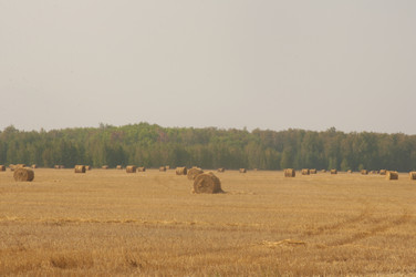 Similar image 21190724