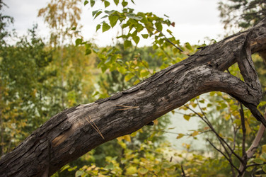 Similar image 21190725