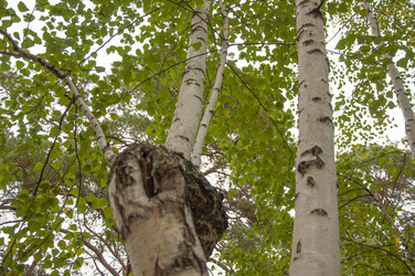 Similar image 21190729