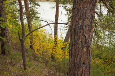 Similar image 21190731