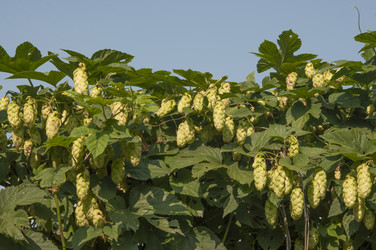 Similar image 21192431