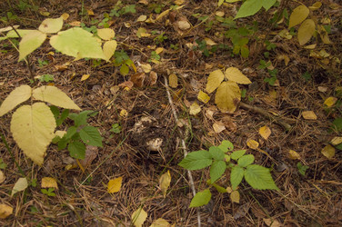 Similar image 21192434