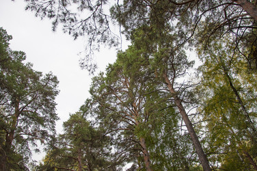 Similar image 21198605