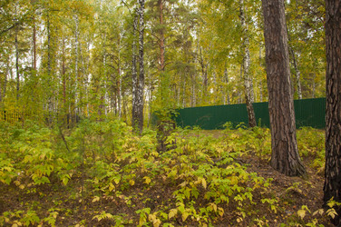 Similar image 21198607