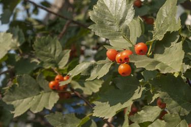 Similar image 21198610