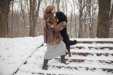 Similar image 21187911