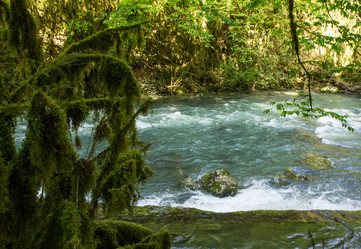 Similar image 21173880