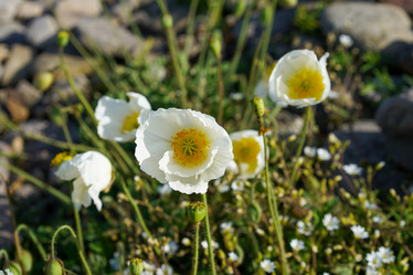 Similar image 21177878