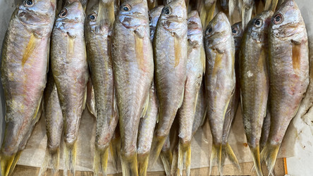 Similar image 21157222