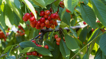 Similar image 21173889