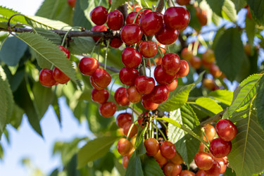 Similar image 21173894