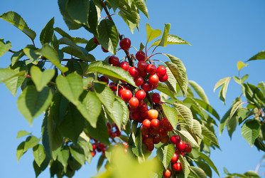 Similar image 21157233