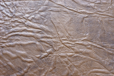 Similar image 21157237