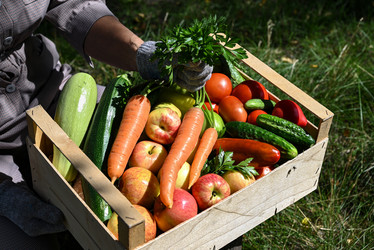 Similar image 21154744