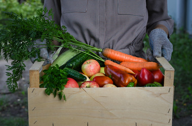 Similar image 21154746