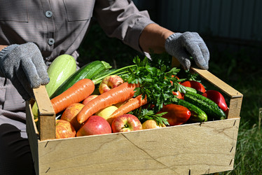 Similar image 21154749