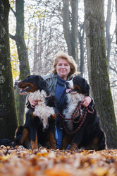 Similar image 21170514