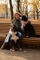 Similar image 21170517