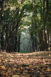 Similar image 21170519