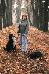 Similar image 21170520