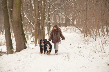 Similar image 21170523