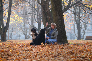 Similar image 21170525