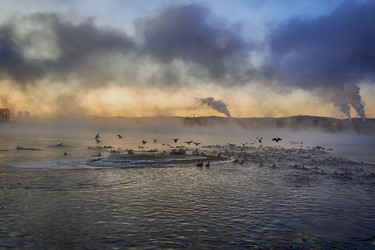 Similar image 21155324