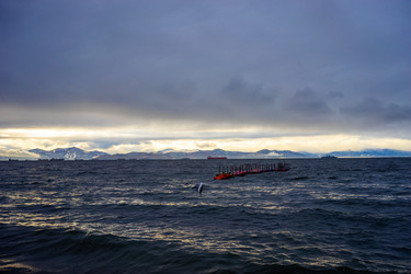 Similar image 21173903