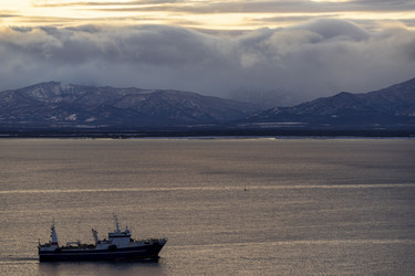 Similar image 21173906