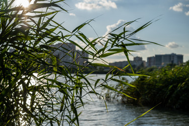 Similar image 21173910