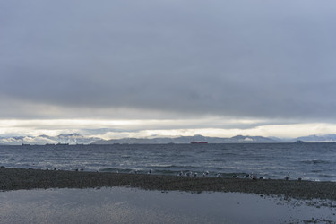 Similar image 21173911