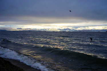 Similar image 21157242