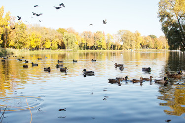 Similar image 21155358