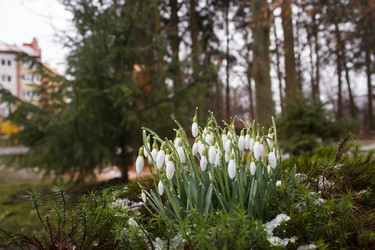 Similar image 21155364