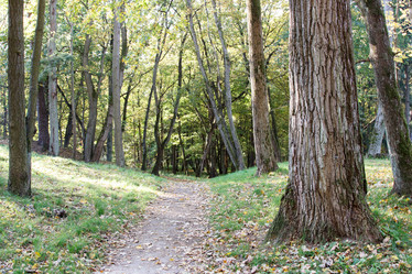 Similar image 21155365