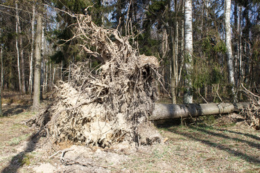 Similar image 21155372