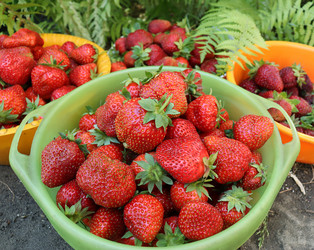 Similar image 21154939