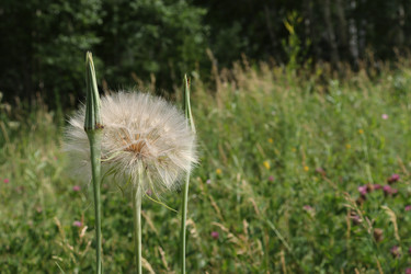 Similar image 21154941