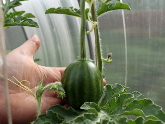 Similar image 21154942