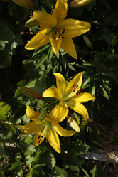 Similar image 21154943