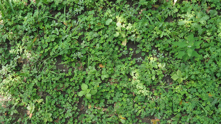 Similar image 21198830