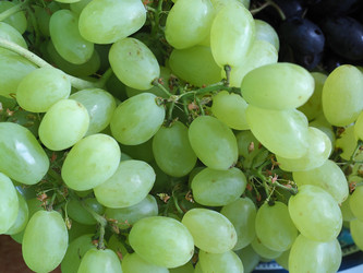 Similar image 21198841