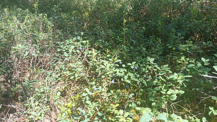 Similar image 21152911