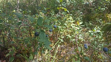 Similar image 21152914