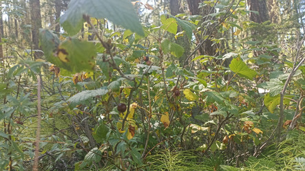 Similar image 21152915