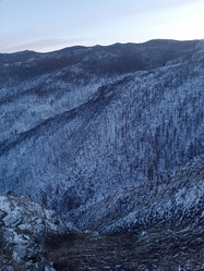 Similar image 21152917