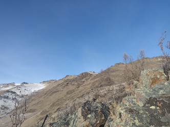 Similar image 21152921