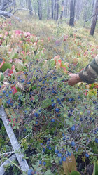 Similar image 21152924